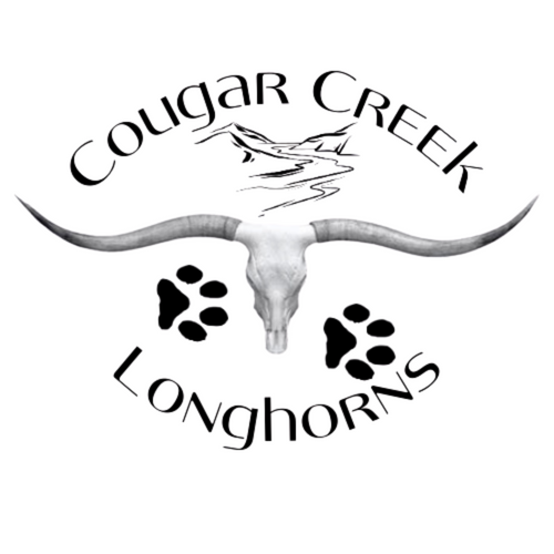 Cougar Creek Longhorns
